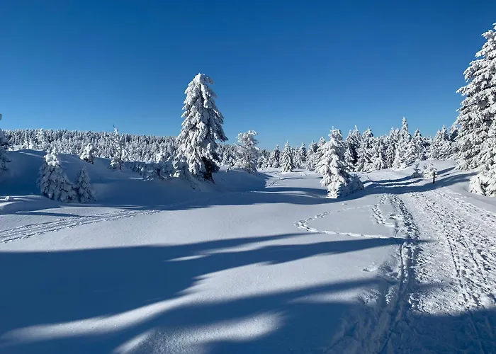 Gemuetliche Ferienwohnung In Elbingerode/Harz
