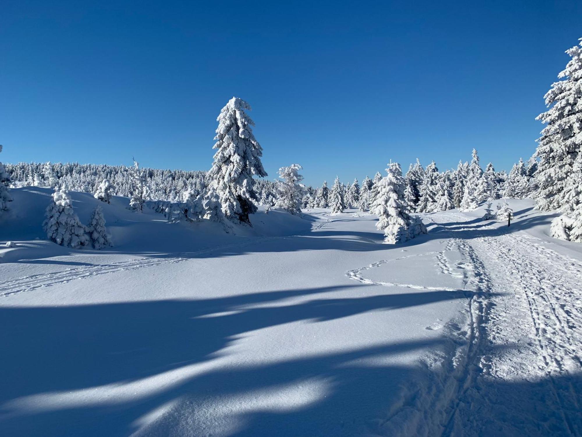 Gemuetliche In Elbingerode/harz Elbingerode (Saxony-Anhalt)