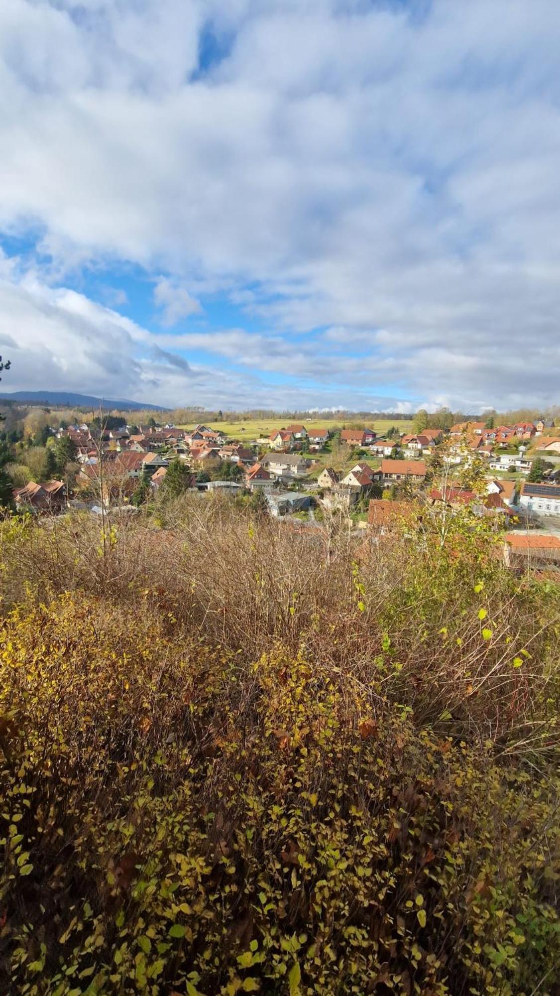 Gemuetliche In Elbingerode/harz * Elbingerode (Saxony-Anhalt)
