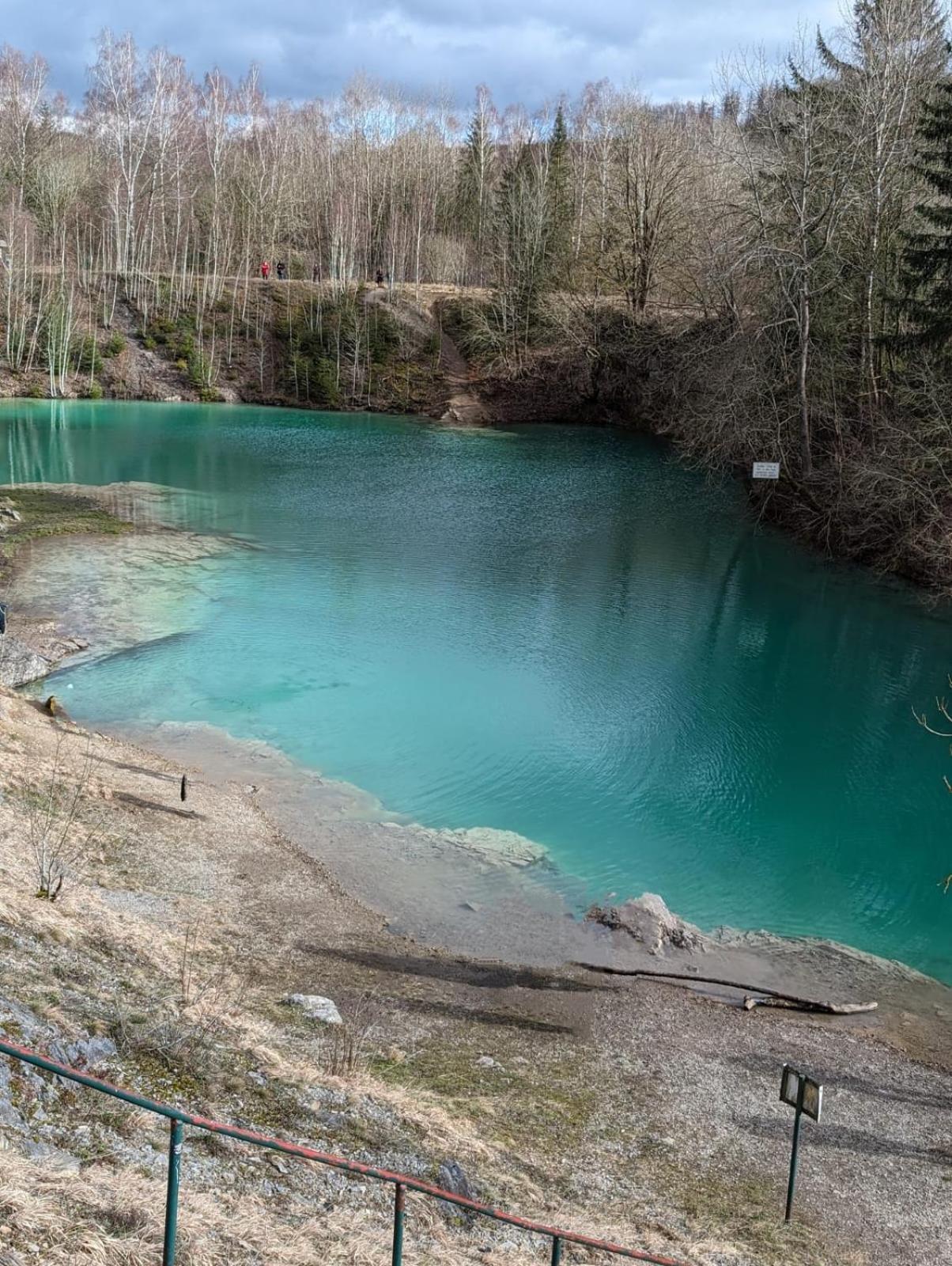 Gemuetliche In Elbingerode/harz Elbingerode (Saxony-Anhalt)